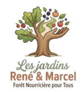 Image venant de l'import